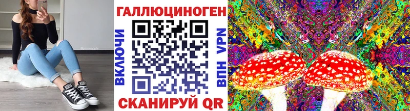 Псилоцибиновые грибы GOLDEN TEACHER  Себеж 
