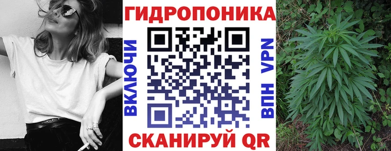 хочу наркоту  нарко площадка какой сайт  Конопля гибрид  Себеж  MEGA как зайти 